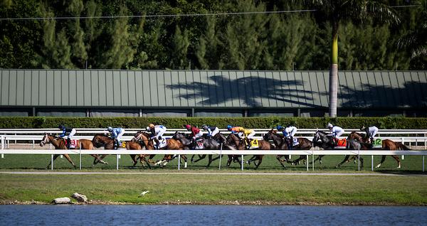 Gulfstream Park Championship Meet, America's Best Racing, horse racing, ABR